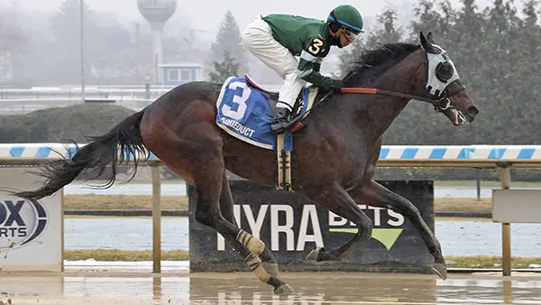 Withers Stakes Picks: Mo Quality, Captain Cook, and Global Steve Lead the Pack at Aqueduct