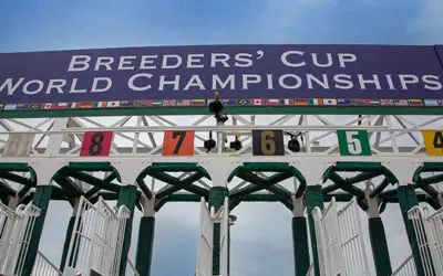 Breeders’ Cup Picks and Analysis for Saturday, November 1, 2025 – Del Mar (Races 4–12)