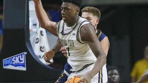 Montana State – 2026-03-08 Great Osobor Montana State Bobcats is key to our prediction & analysis tonight