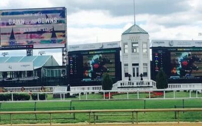 Superfecta Wagering – The Secret to Scooping Superfecta Wagering Pools