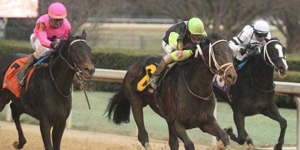 Quinella Bet