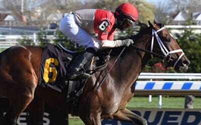 Florida Derby Picks – 2019 Race Selections