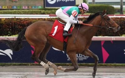 Fountain of Youth Stakes Picks – Derby Prep Predictions