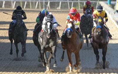 2019 Rebel Stakes Results