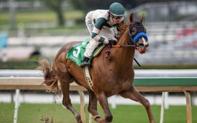 Sunland Park Derby Picks