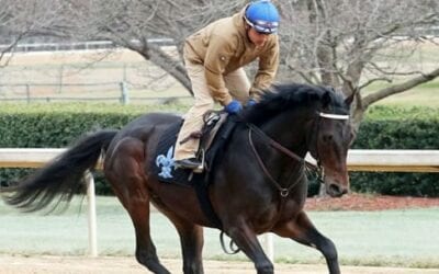 2019 Louisiana Derby Race Predictions