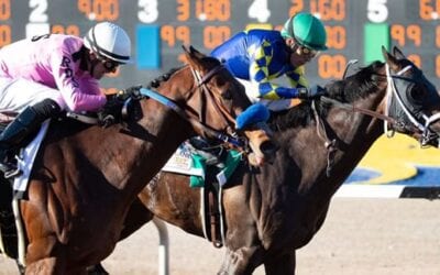 Sunland Derby Recap