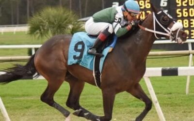 2019 Tampa Bay Derby Picks