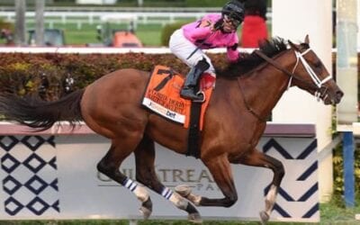 2019 Florida Derby Recap