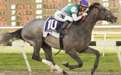 Belmont Stakes Picks 2019