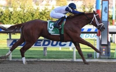 2019 Blue Grass Stakes Picks – Race Predictions