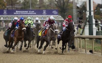 Daily Double Betting Strategies