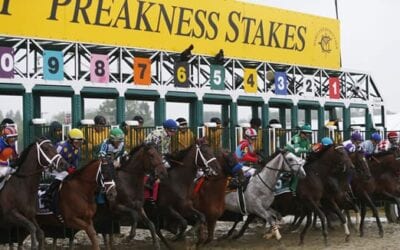 Preakness Stakes Picks 2019