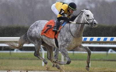 2020 Louisiana Derby Race Analysis & Predictions