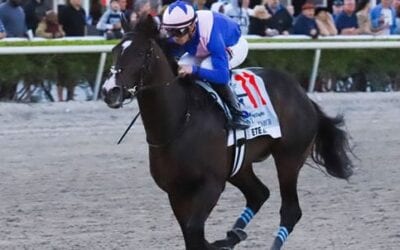 Florida Derby Picks – Analysis & Predictions