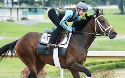 Arkansas Derby Analysis & Predictions