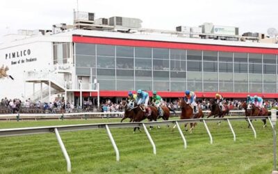 Mage the Horse to Beat in 148th Preakness Stakes, Perform the Longshot