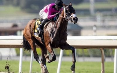 2021 Arkansas Derby Odds & Picks