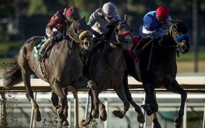 Wood Memorial wide open, Favorites solid in Santa Anita Derby, Bluegrass Stakes
