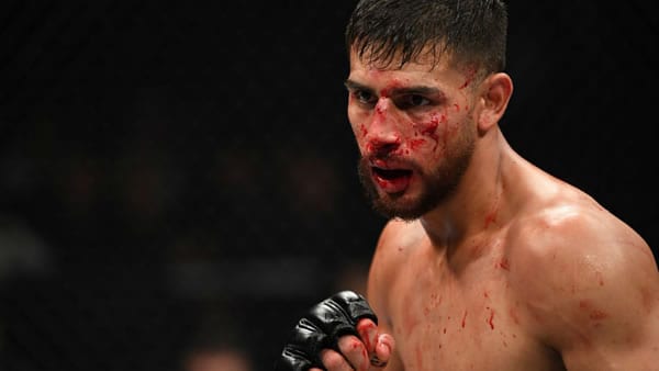 UFC Fight Night: Holloway vs. Rodriguez Picks