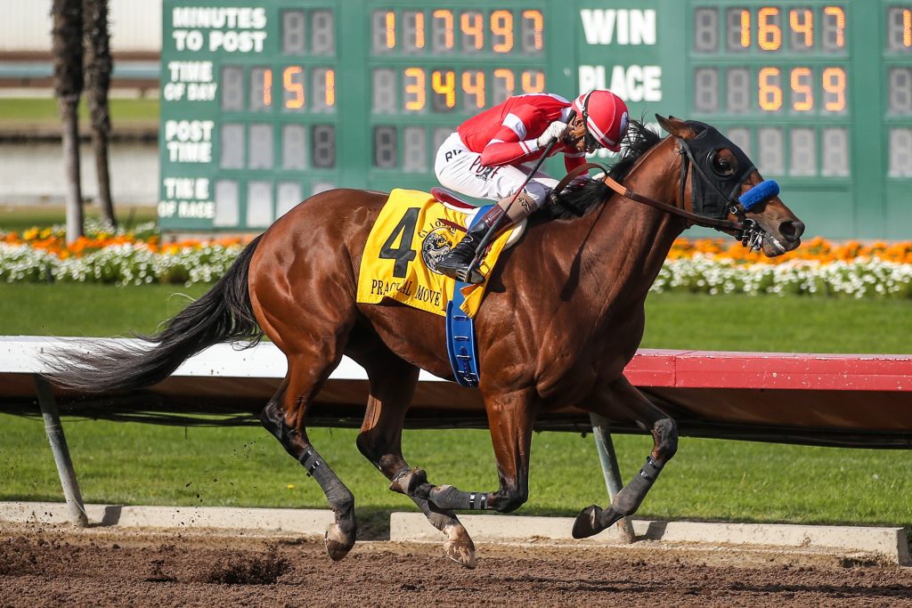 Practical Move Racehorse