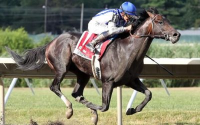 Expert Selections for the 2023 Pacific Classic at Del Mar Race Track