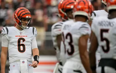 Pittsburgh Steelers at Cincinnati Bengals Pick: Who do you bet?