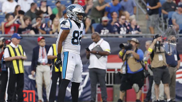 Tommy Tremble TE Carolina Panthers