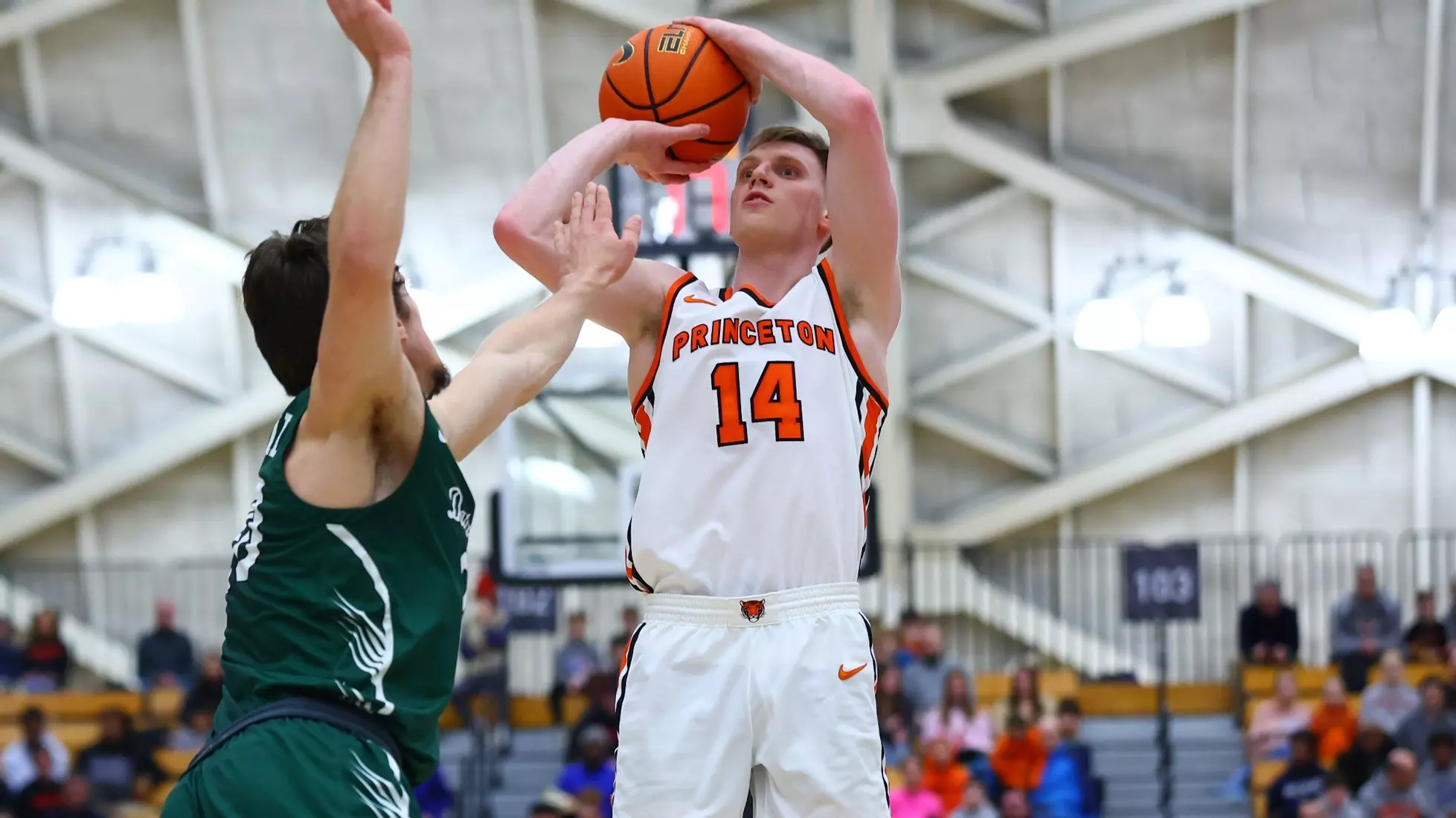 Matt Allocco Princeton