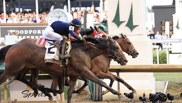 Mystik Dan Winning First Leg of Triple Crown