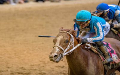 Shiloh’s Mistress the Pick in Honeymoon at Santa Anita