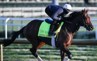 2024 Belmont Stakes Picks & Indepth Analysis