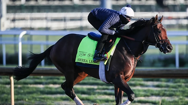 2024 Belmont Stakes Picks & Indepth Analysis