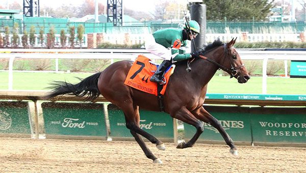 Fountain of Youth Stakes: Expert Picks & Longshot Predictions