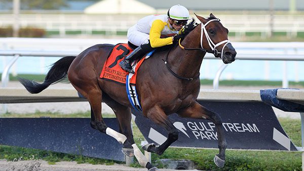 Oaklawn Handicap Picks & Predictions: Can Skippylongstocking Repeat?