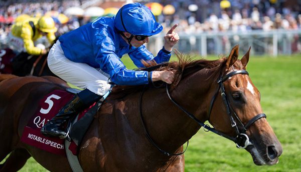 Woodbine Mile Picks & Predictions | Rogers G1 Turf Showcase