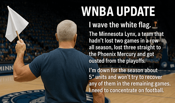 WNBA Lynx are done