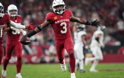 Arizona Cardinals vs Tampa Bay Buccaneers NFL Analysis & Free Picks for Week 13