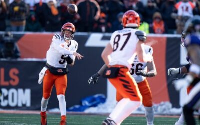 Bengals vs Dolphins Point Spread Prediction Week 16