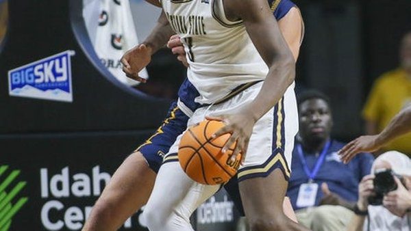 Great Osobor Montana State Bobcats is key to our prediction & analysis tonight