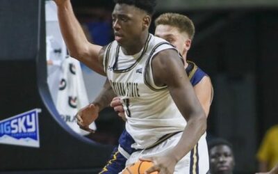 Portland State vs. Montana State Best Bet: Fading the Chalk in a Tight Big Sky Spot