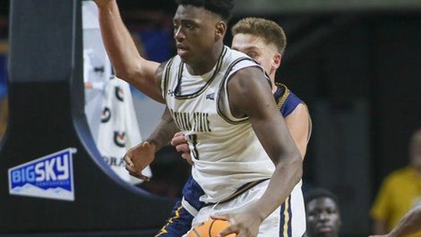 Great Osobor Montana State Bobcats is key to our prediction & analysis tonight