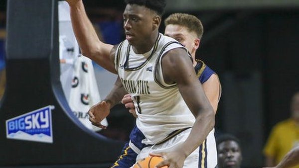 Great Osobor Montana State Bobcats is key to our prediction & analysis tonight