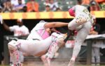 Samuel Basallo Baltimore Orioles is key to our MLB prediction & analysis