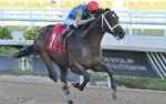 Commandment Is one of the favorites for the Kentucky Derby