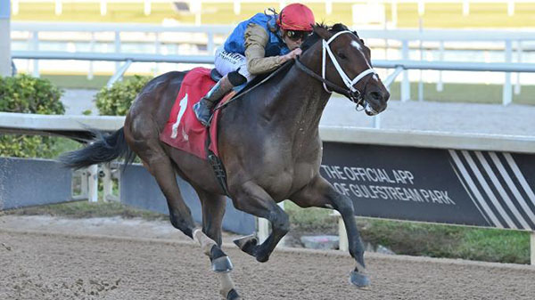 Commandment Is one of the favorites for the Kentucky Derby
