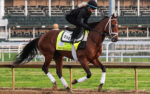 Renegade Racehorse is Crew's pick to win the Kentucky Derby