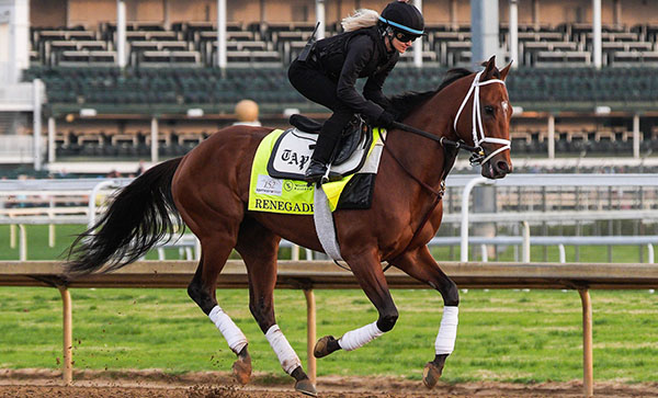 Renegade Racehorse is Crew's pick to win the Kentucky Derby