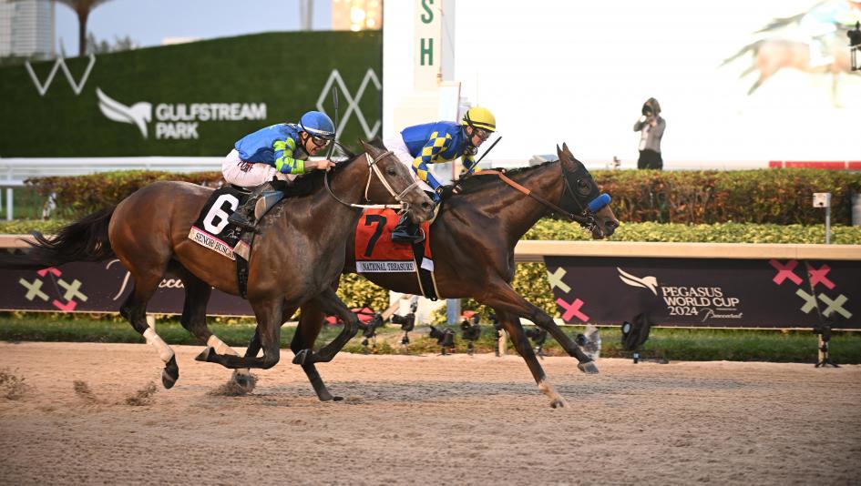 Saturday Horse Racing Picks Belmont Stakes Saratoga