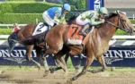 Thoroughbred horses racing down the stretch with jockeys in colorful silks for Friday horse racing picks across Gulfstream, Saratoga, Santa Anita, and Woodbine